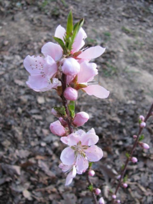 K640_IMG_0438.JPG