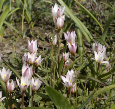 K800_13.04.2009_094.JPG
