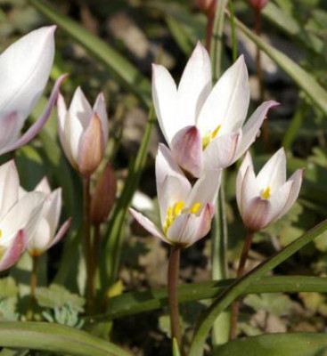 K800_13.04.2009_002.JPG