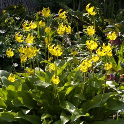 K800_13.04.2009_108.JPG