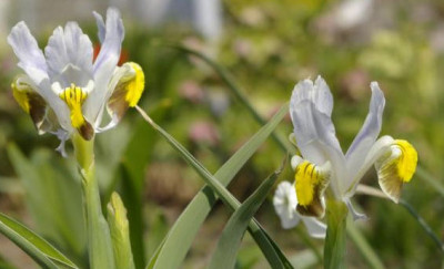 K800_13.04.2009_004.JPG