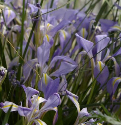 K800_13.04.2009_017.JPG