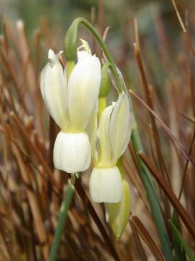 K800_13.04.2009_025.JPG