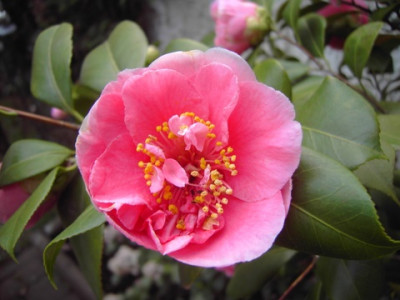 PICT2536-2.JPG