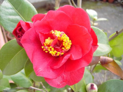 PICT1600.JPG