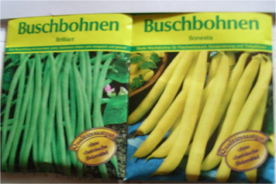 form_gelbe_bohnen.JPG