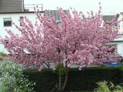 ausblick160409.jpg