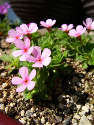 DSCF7400.JPG