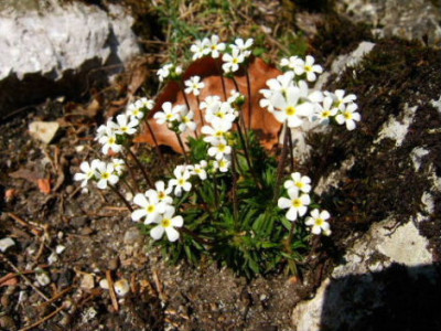 DSCF7176.JPG