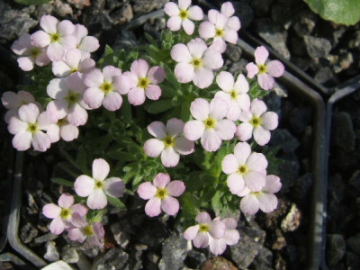 DSCF7496.JPG