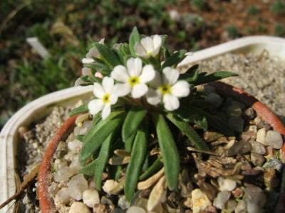 DSCF7569.JPG