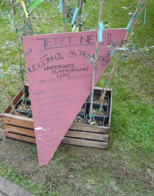 l11.jpg