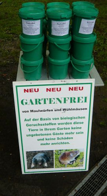 l12.jpg