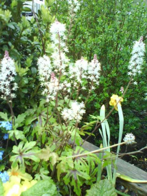 K640_DSC01011.JPG