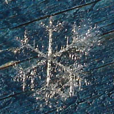 Feder-Schnee-1.jpg