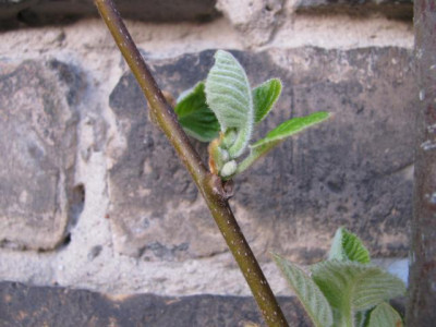 K640_IMG_0440.JPG