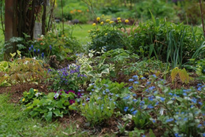 garten_mitte_april_09_02.jpg