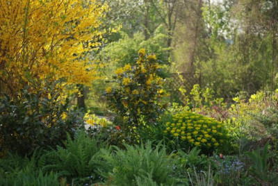garten_mitte_april_09_03.jpg