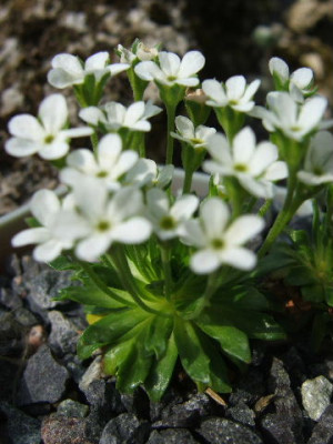 DSCF7764.JPG