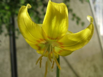 DSCF7761.JPG