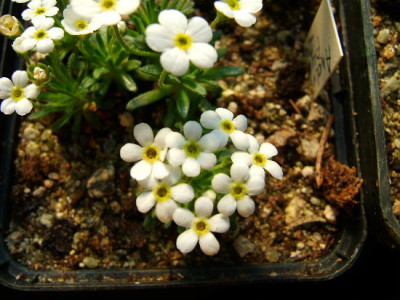 DSCF3030.JPG
