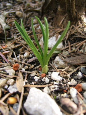 DSCF7610.JPG