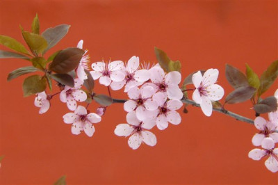 April.2009.70.JPG