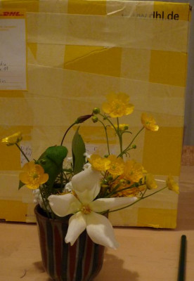 Paketl.JPG