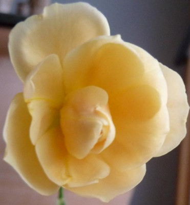 P1000685.JPG