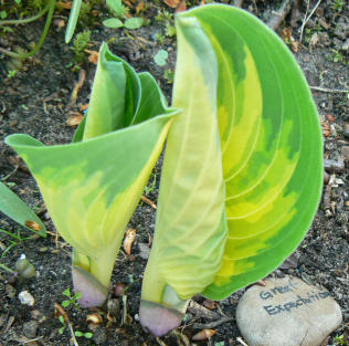 Great_Expectations_090421.jpg