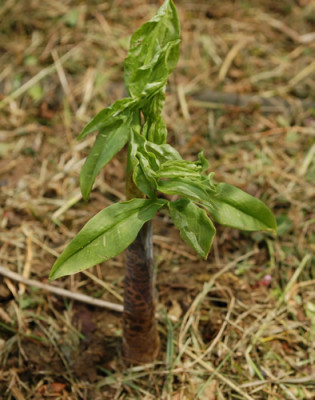Unbekannte_0010__43931.jpg