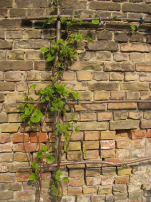 K640_IMG_0455.JPG