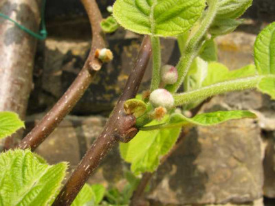 K640_IMG_0456.JPG