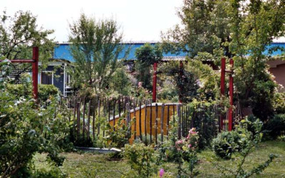 gemusegarten.JPG