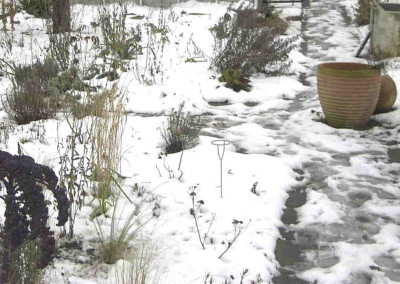 Garten2-31jan-1.jpg