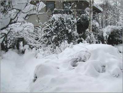 vorm_Haus.JPG