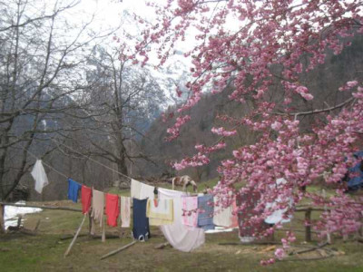 K640_IMG_3251.JPG