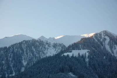 DSC_2037schafseite.jpg
