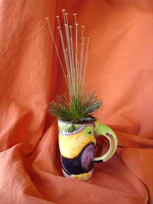 tucan.jpg