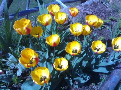 K640_22042009517.JPG