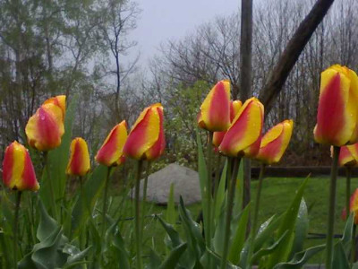 K640_24042009527.JPG
