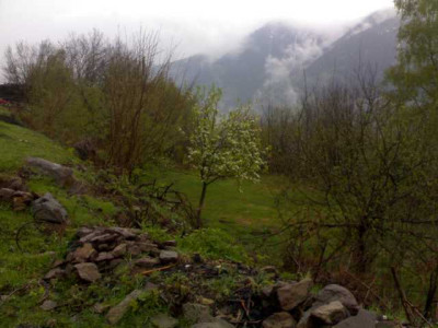 K640_24042009523.JPG