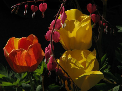 indische_farben.jpg