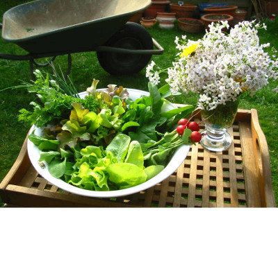 Ernte_25.04.09.jpg