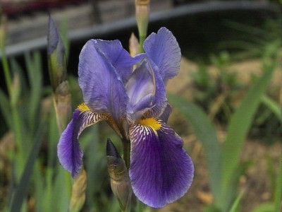k-Walhalla_1.jpg