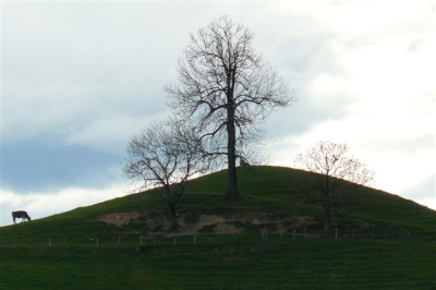 26.04.2009.20.JPG