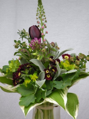 DSCN0736.JPG