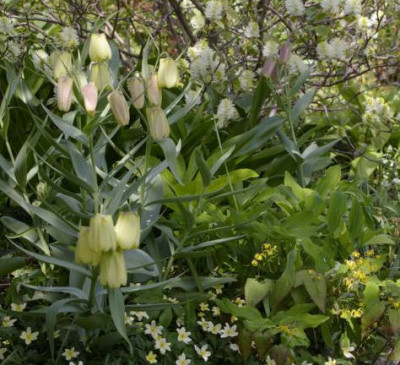 K800_25.04.2009_001.JPG