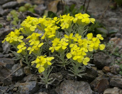 K800_25.04.2009_063.JPG