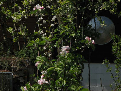 gartendeko.jpg